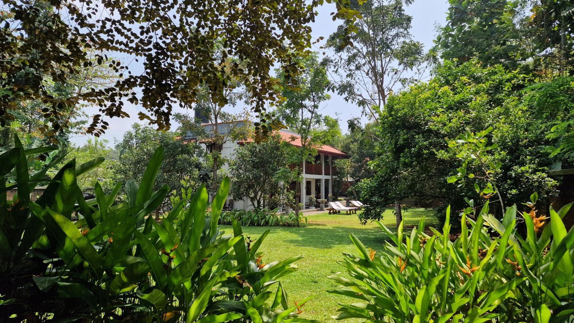 Villa Arana Bentota Eksteriør billede